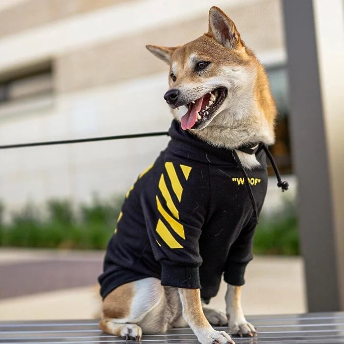 Autumn Winter Sports Dog Clothes by Pawridise