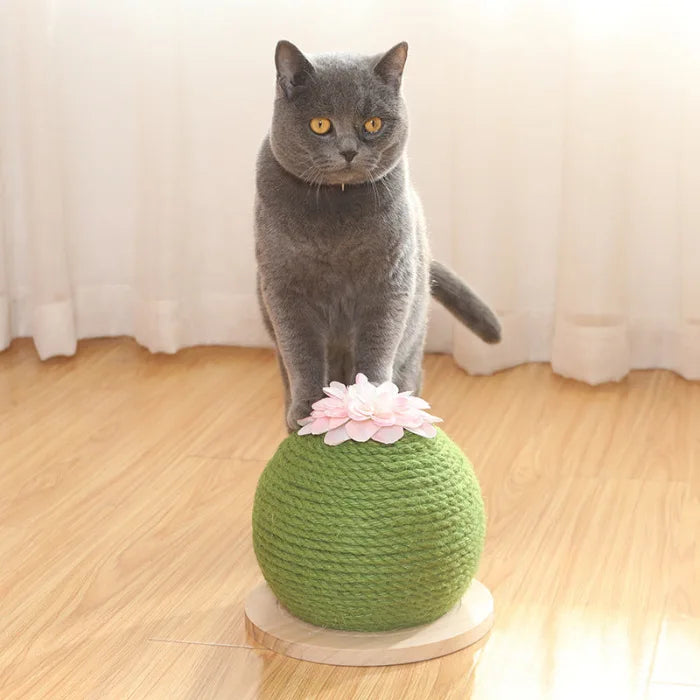 Eco-Friendly Cat Scratch Ball by Pawridise