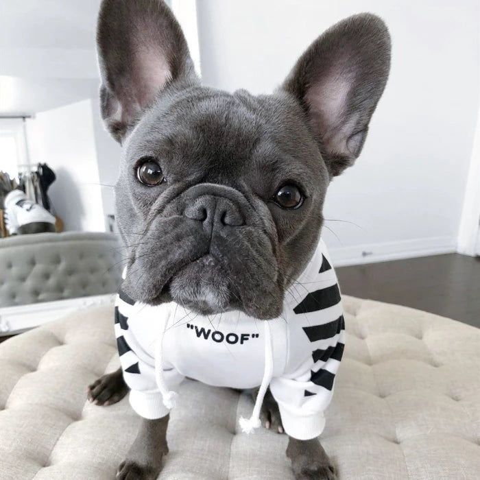 Three-Stripe Dog Sweater for Corgis by Pawridise